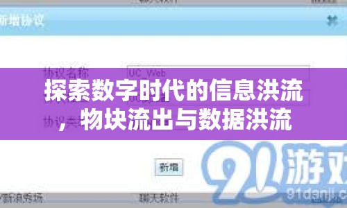探索數(shù)字時(shí)代的信息洪流，物塊流出與數(shù)據(jù)洪流