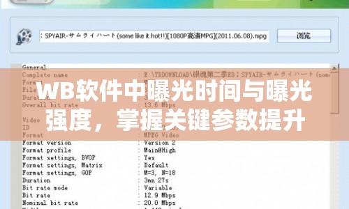 WB軟件中曝光時間與曝光強度，掌握關鍵參數(shù)提升圖像質量