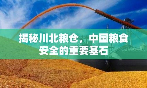 揭秘川北糧倉，中國糧食安全的重要基石