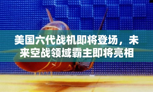 美國六代戰(zhàn)機即將登場，未來空戰(zhàn)領(lǐng)域霸主即將亮相