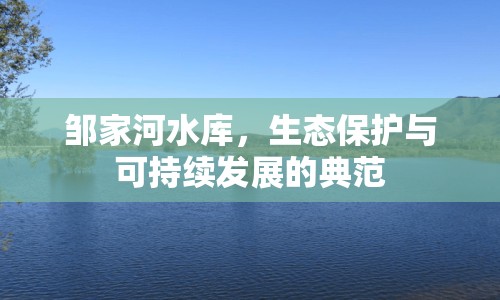 鄒家河水庫，生態(tài)保護(hù)與可持續(xù)發(fā)展的典范