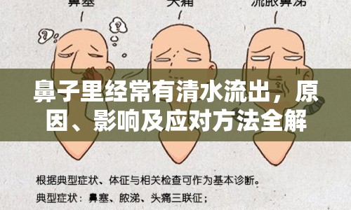鼻子里經(jīng)常有清水流出，原因、影響及應(yīng)對(duì)方法全解析