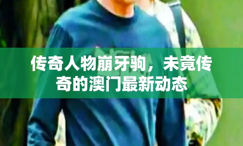傳奇人物崩牙駒，未竟傳奇的澳門最新動態(tài)
