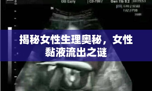 揭秘女性生理奧秘，女性黏液流出之謎
