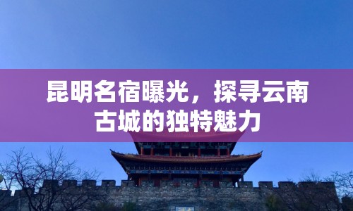 昆明名宿曝光，探尋云南古城的獨特魅力