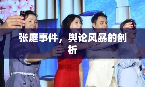 張庭事件，輿論風(fēng)暴的剖析