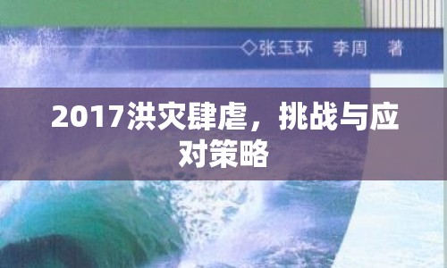 2017洪災(zāi)肆虐，挑戰(zhàn)與應(yīng)對(duì)策略