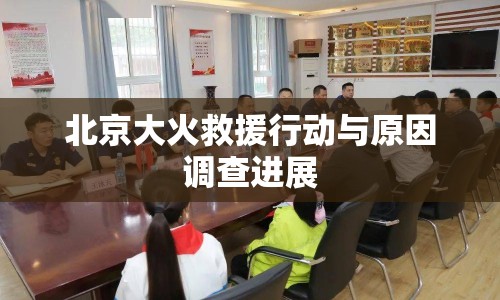 北京大火救援行動與原因調查進展