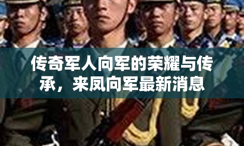 傳奇軍人向軍的榮耀與傳承，來鳳向軍最新消息