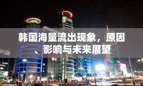 韓國海量流出現(xiàn)象，原因、影響與未來展望