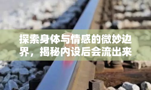 探索身體與情感的微妙邊界，揭秘內(nèi)設(shè)后會流出來現(xiàn)象