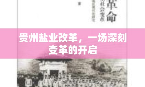 貴州鹽業(yè)改革，一場深刻變革的開啟
