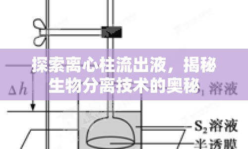 探索離心柱流出液，揭秘生物分離技術(shù)的奧秘