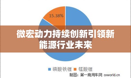 微宏動(dòng)力持續(xù)創(chuàng)新引領(lǐng)新能源行業(yè)未來