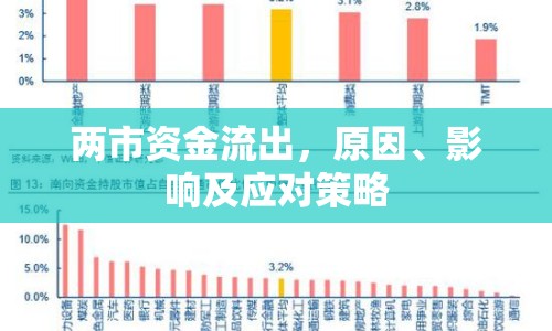 兩市資金流出，原因、影響及應(yīng)對(duì)策略