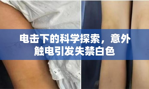 電擊下的科學(xué)探索，意外觸電引發(fā)失禁白色