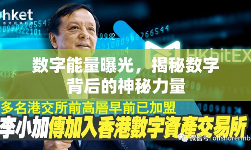 數(shù)字能量曝光，揭秘?cái)?shù)字背后的神秘力量