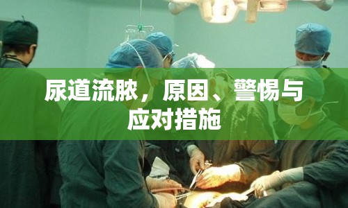 尿道流膿，原因、警惕與應(yīng)對措施