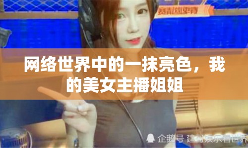 網(wǎng)絡(luò)世界中的一抹亮色，我的美女主播姐姐