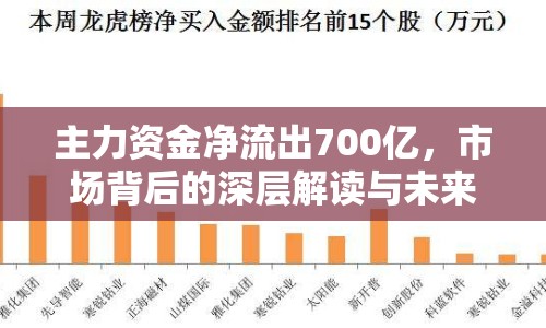主力資金凈流出700億，市場背后的深層解讀與未來展望