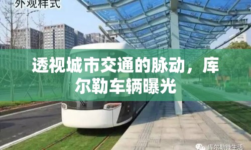 透視城市交通的脈動，庫爾勒車輛曝光