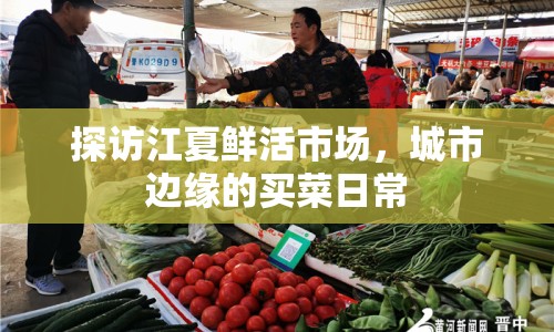 探訪江夏鮮活市場(chǎng)，城市邊緣的買(mǎi)菜日常