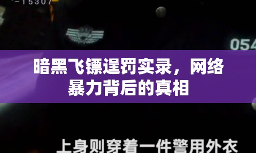 暗黑飛鏢逞罰實錄，網(wǎng)絡(luò)暴力背后的真相