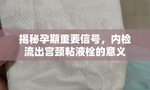 揭秘孕期重要信號(hào)，內(nèi)檢流出宮頸粘液栓的意義