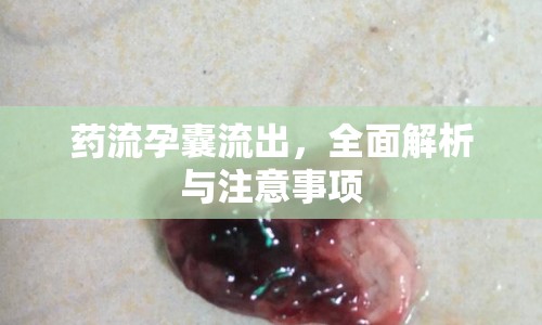 藥流孕囊流出，全面解析與注意事項(xiàng)