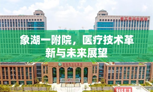 象湖一附院，醫(yī)療技術(shù)革新與未來(lái)展望