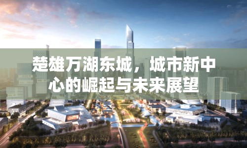 楚雄萬湖東城，城市新中心的崛起與未來展望