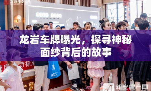 龍巖車牌曝光，探尋神秘面紗背后的故事