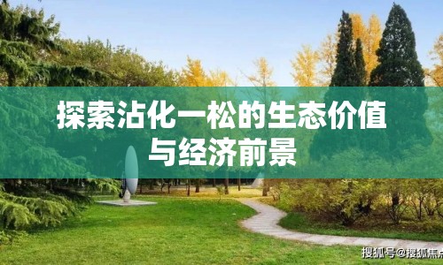 探索沾化一松的生態(tài)價(jià)值與經(jīng)濟(jì)前景