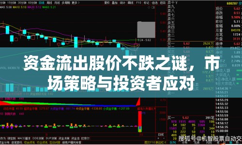 資金流出股價不跌之謎，市場策略與投資者應(yīng)對