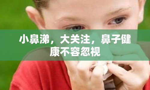 小鼻涕，大關注，鼻子健康不容忽視