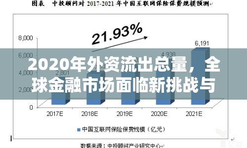 2020年外資流出總量，全球金融市場面臨新挑戰(zhàn)與機(jī)遇
