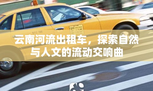 云南河流出租車，探索自然與人文的流動交響曲