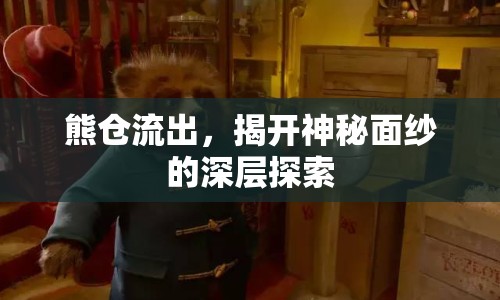 熊倉(cāng)流出，揭開神秘面紗的深層探索