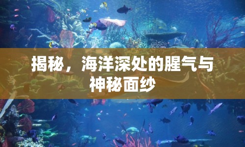 揭秘，海洋深處的腥氣與神秘面紗