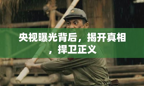 央視曝光背后，揭開真相，捍衛(wèi)正義