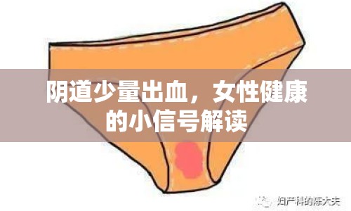 陰道少量出血，女性健康的小信號解讀