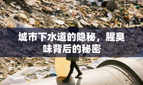 城市下水道的隱秘，腥臭味背后的秘密