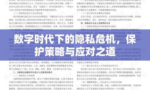 數(shù)字時(shí)代下的隱私危機(jī)，保護(hù)策略與應(yīng)對(duì)之道