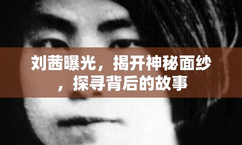 劉茜曝光，揭開神秘面紗，探尋背后的故事
