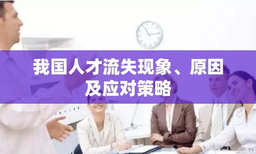 我國(guó)人才流失現(xiàn)象、原因及應(yīng)對(duì)策略
