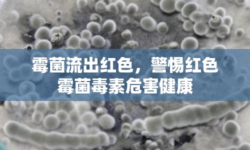 霉菌流出紅色，警惕紅色霉菌毒素危害健康