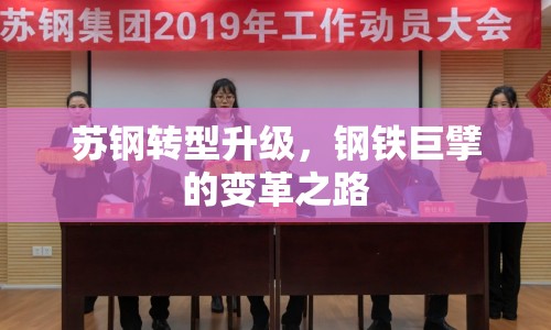蘇鋼轉(zhuǎn)型升級(jí)，鋼鐵巨擘的變革之路