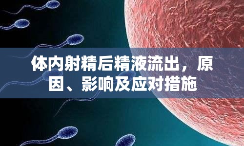 體內(nèi)射精后精液流出，原因、影響及應(yīng)對措施