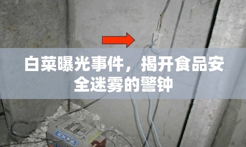 白菜曝光事件，揭開食品安全迷霧的警鐘