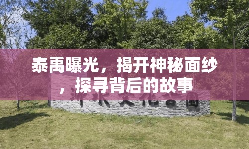 泰禹曝光，揭開神秘面紗，探尋背后的故事